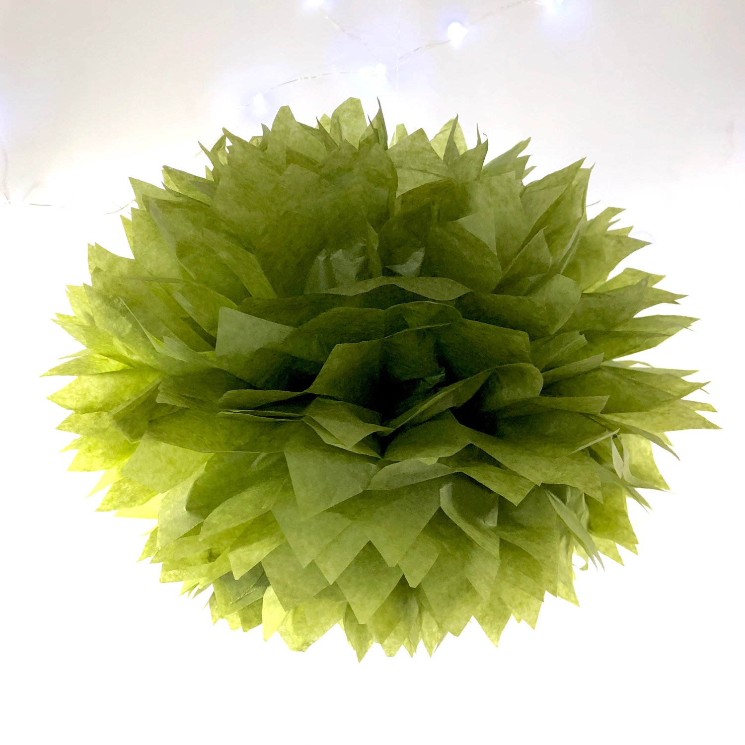 Green Party Decor