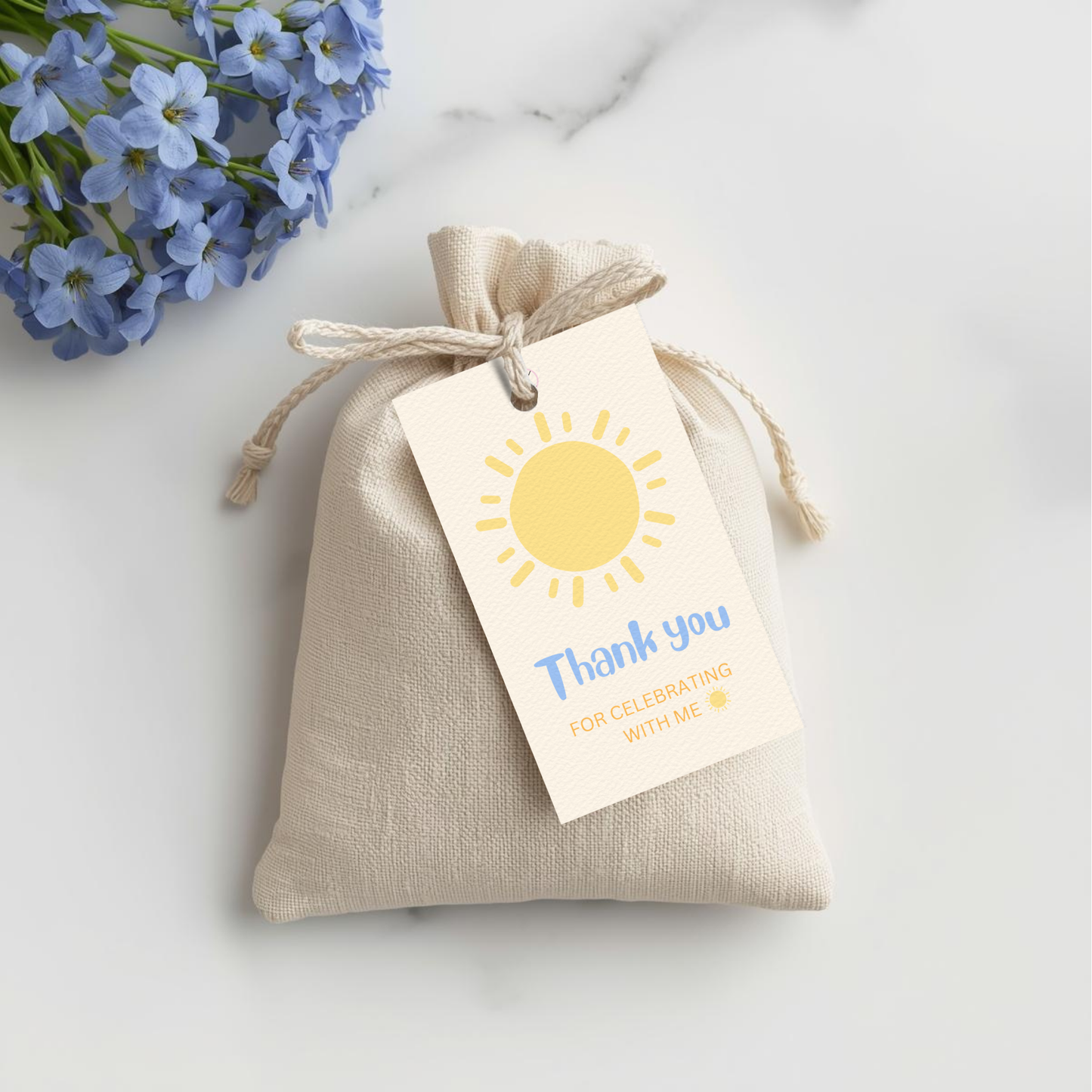 First Trip Around the Sun Blue Boy Gift Tag | Editable Canva Template (Digital Download)