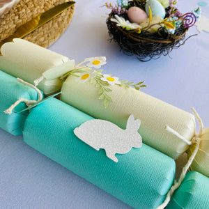 Personalised Pastel Fill your own Easter Crackers