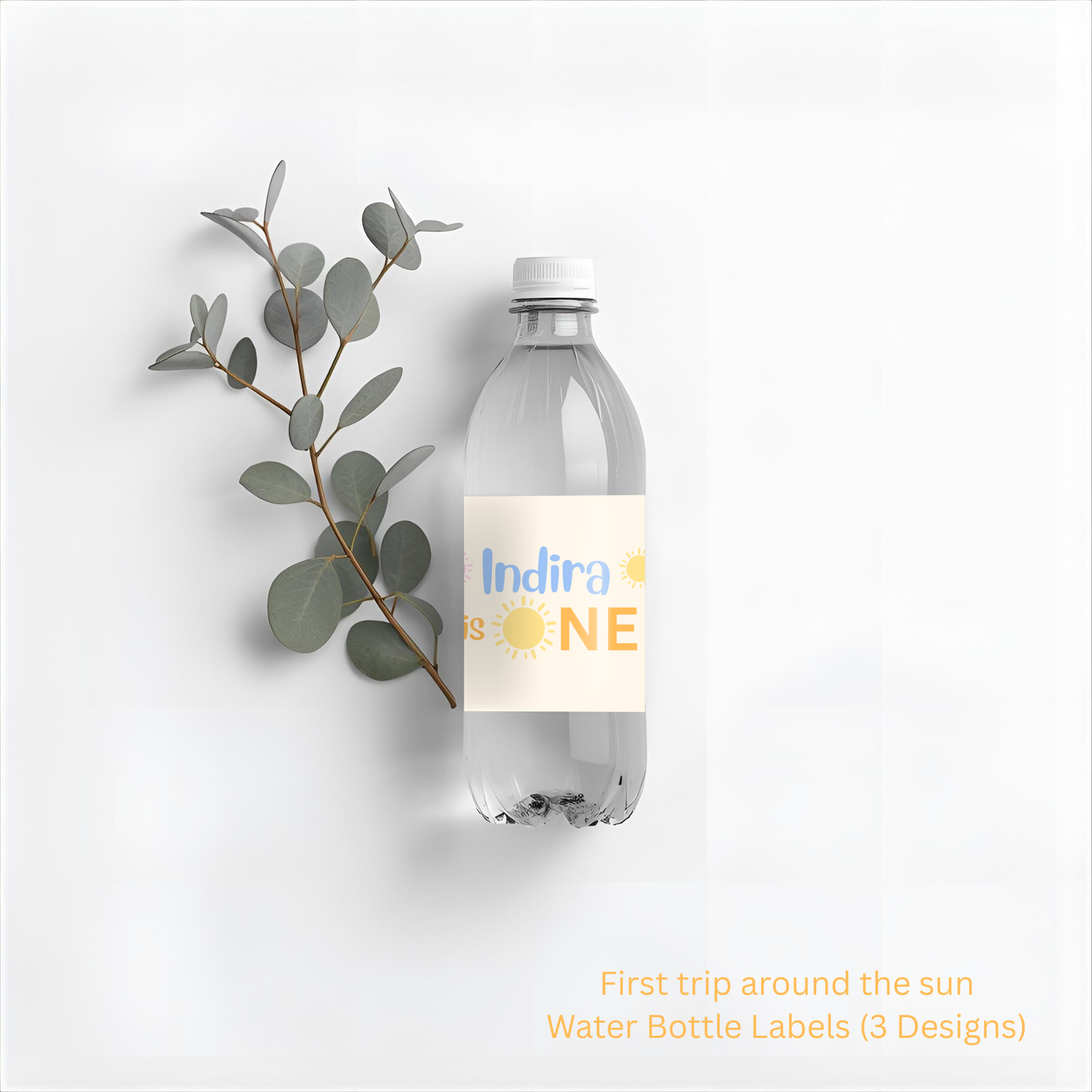 First Trip Around the Sun Water Bottle Labels, Editable Canva Template (Digital Download)