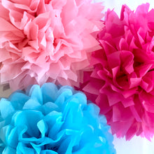 Load image into Gallery viewer, Bright Tissue Paper Pom Pom Set
