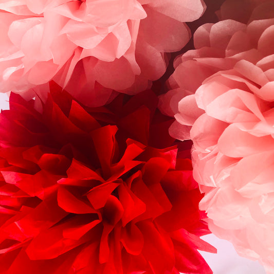 Red & Pink Tissue Paper Pom Pom Set
