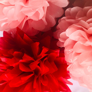 Red & Pink Tissue Paper Pom Pom Set