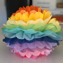 Load image into Gallery viewer, Rainbow Tissue Paper Pom Pom